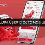 LUPA USER ID OCTO MOBILE