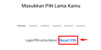 Selanjutnya klik pada opsi Reset PIN.