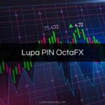 Lupa PIN OctaFX