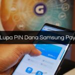 Lupa PIN Dana Samsung Pay